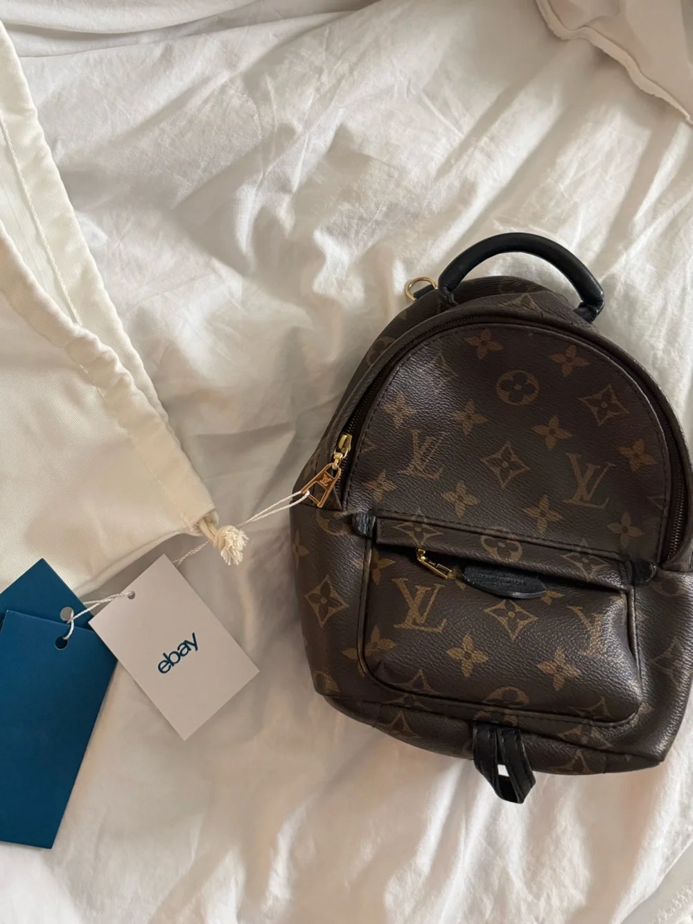 Louis vuitton mini palm springs backpack